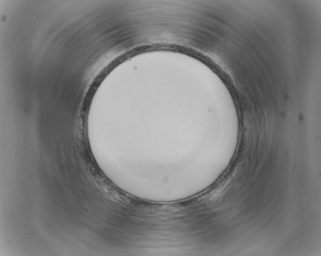 X0000062910879200602031854