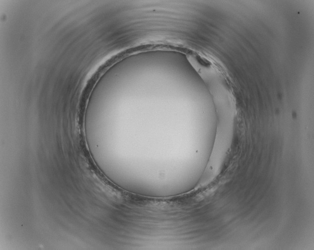 X0000062910880200602031854