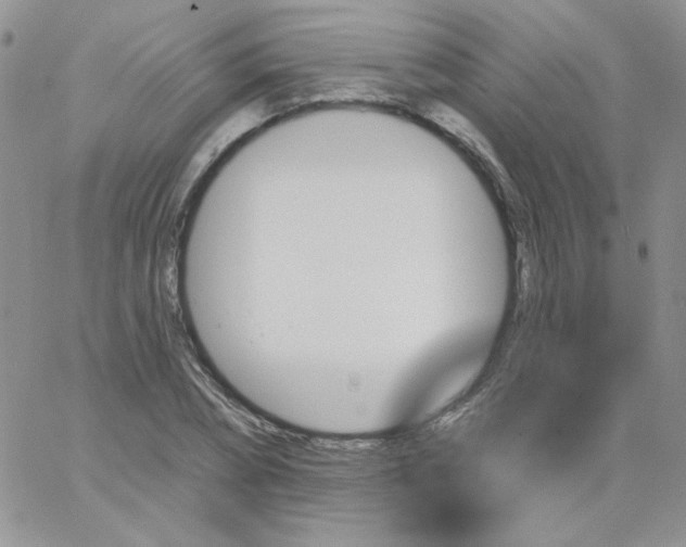 X0000062910882200602031854