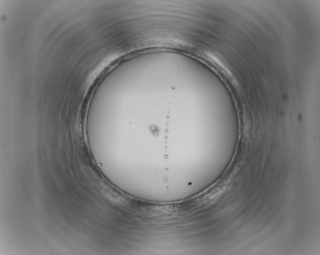 X0000062910883200602031854