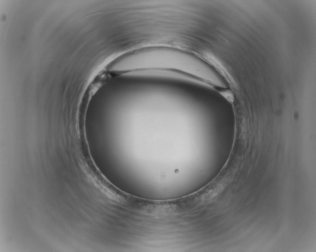 X0000062910884200602031854