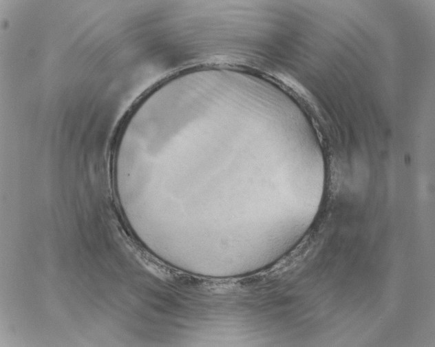 X0000062910886200602031854