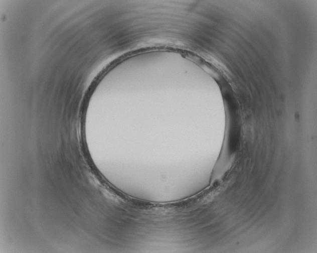 X0000062910888200602031854