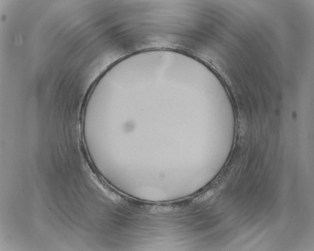 X0000062910890200602031854