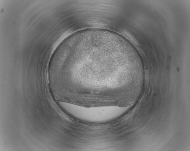 X0000062910891200602031854