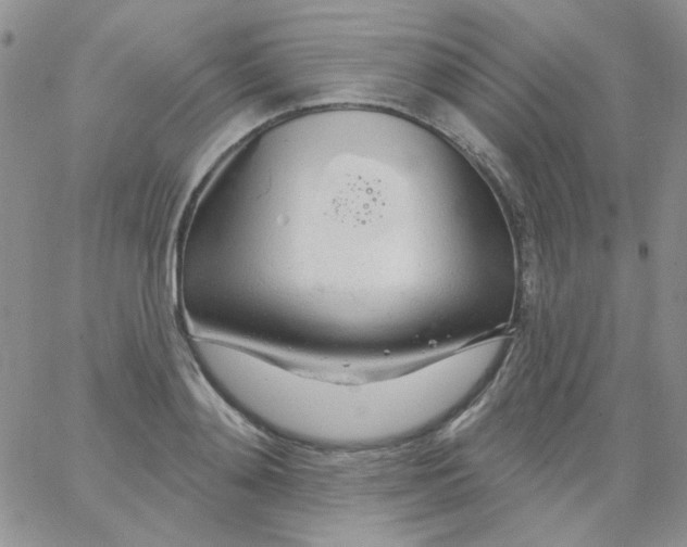 X0000062910892200602031854