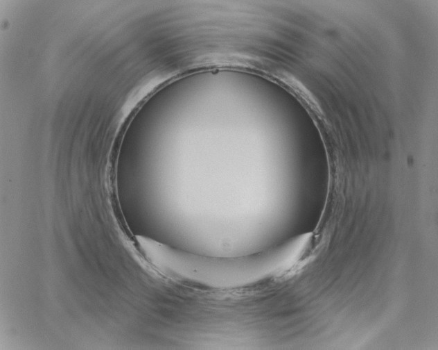 X0000062910893200602031854