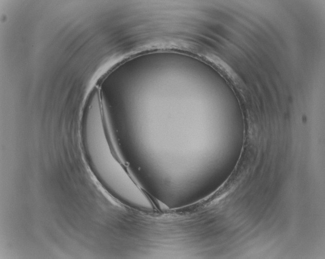 X0000062910894200602031854