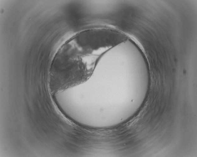 X0000062910895200602031854