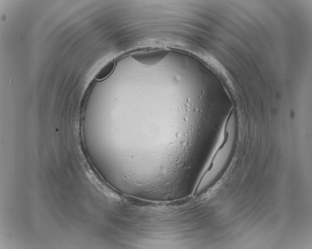 X0000062910896200602031854