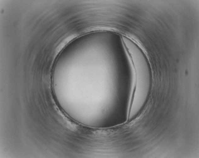 X0000062910898200602031854