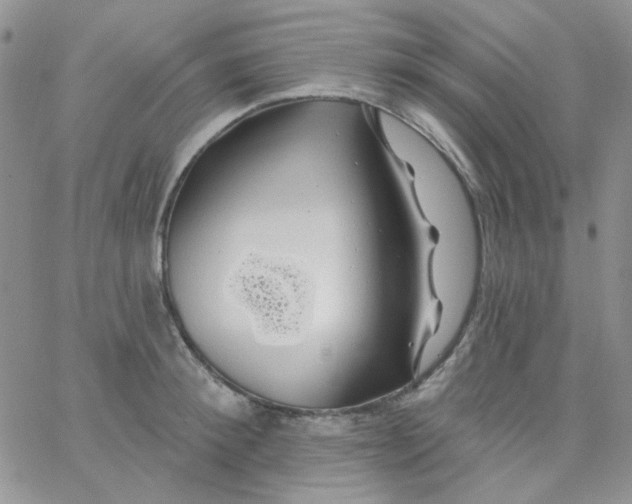 X0000062910900200602031854