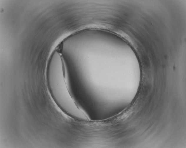 X0000062910902200602031854