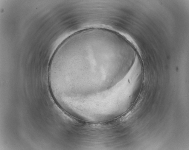 X0000062910903200602031854