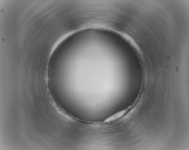 X0000062910904200602031854