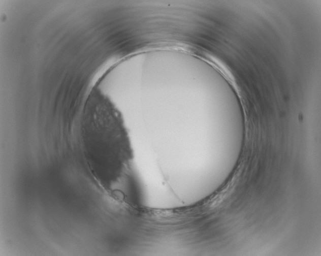 X0000062910907200602031854