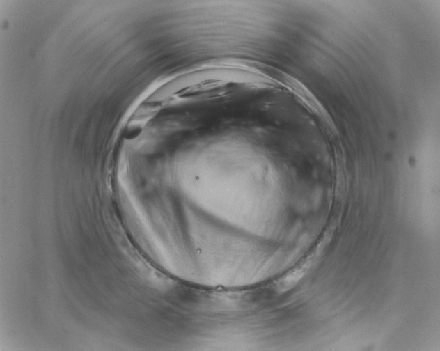 X0000062910908200602031854