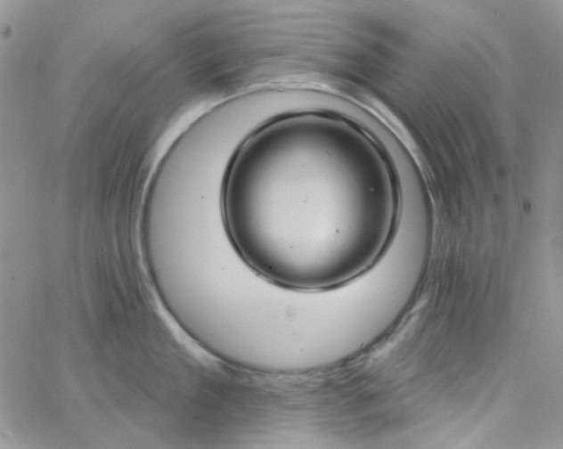 X0000062910909200602031854