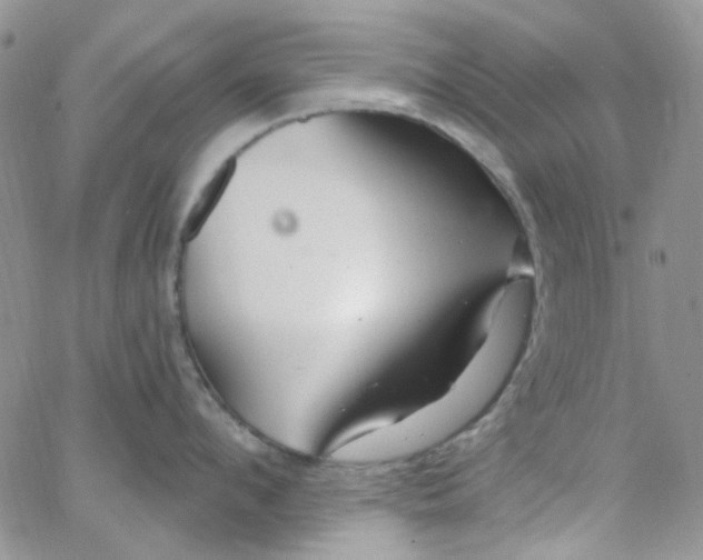 X0000062910912200602031854