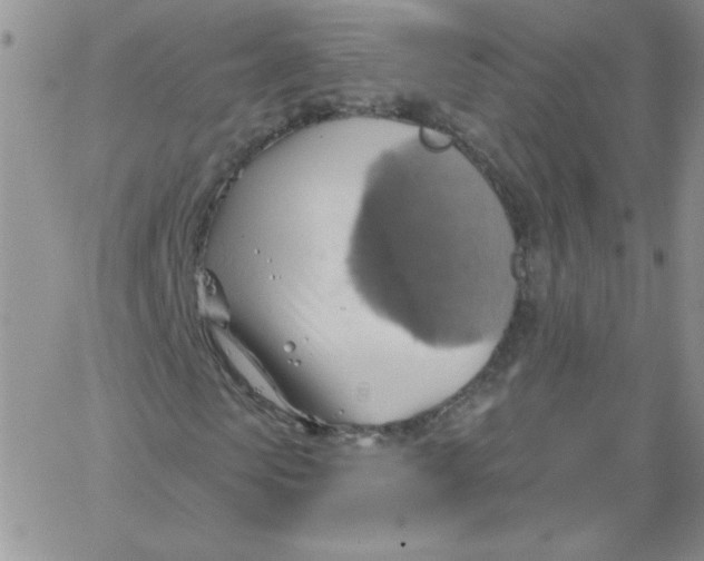 X0000062910913200602031853