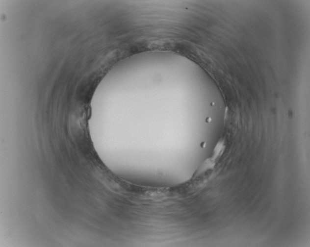 X0000062910914200602031853