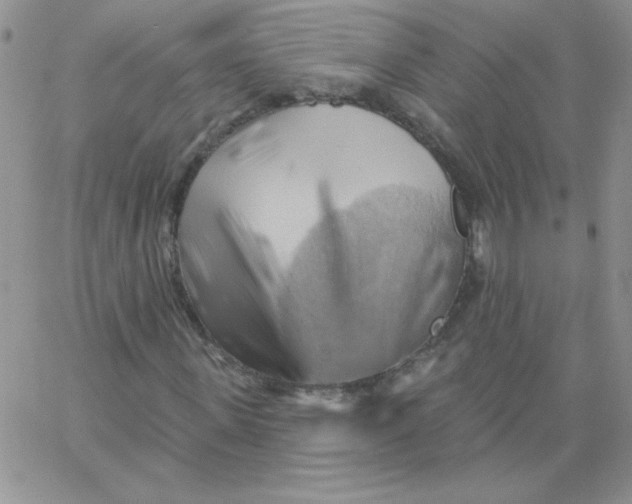 X0000062910915200602031853