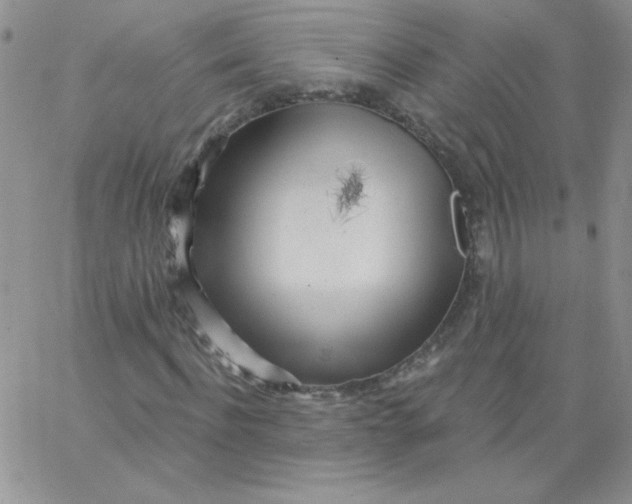 X0000062910916200602031853