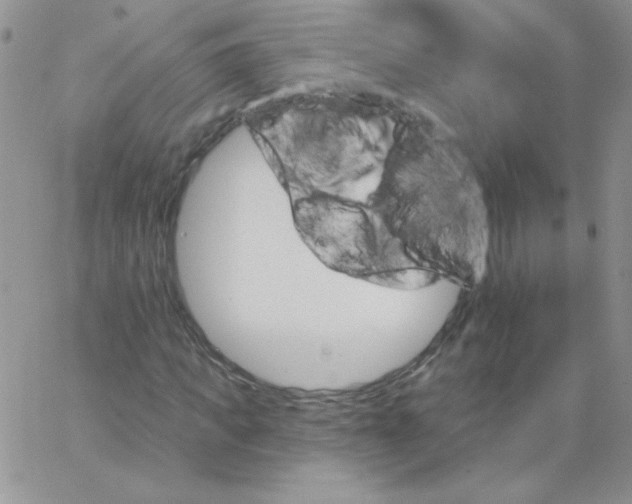 X0000062910917200602031853