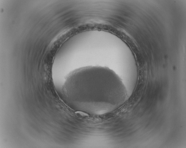 X0000062910919200602031853