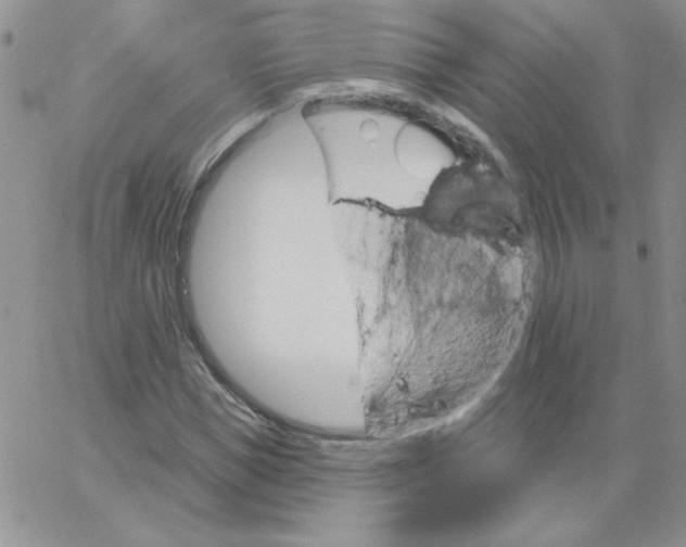 X0000062910921200602031853