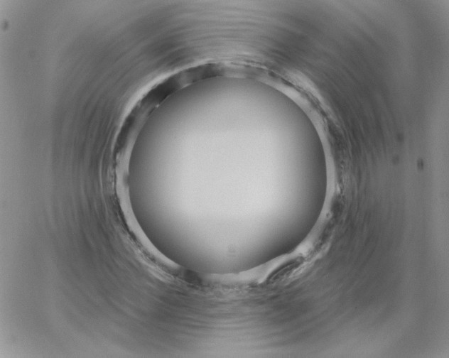 X0000062910924200602031853