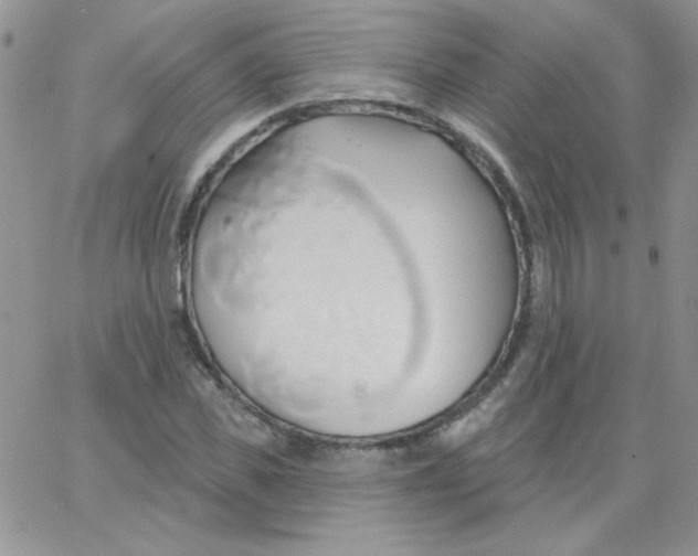 X0000062910925200602031853