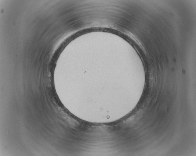 X0000062910926200602031853