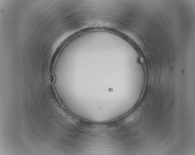 X0000062910927200602031853