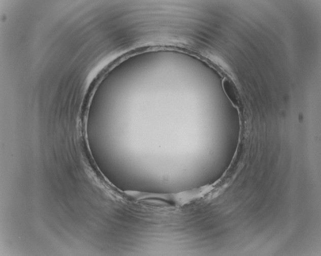 X0000062910928200602031853