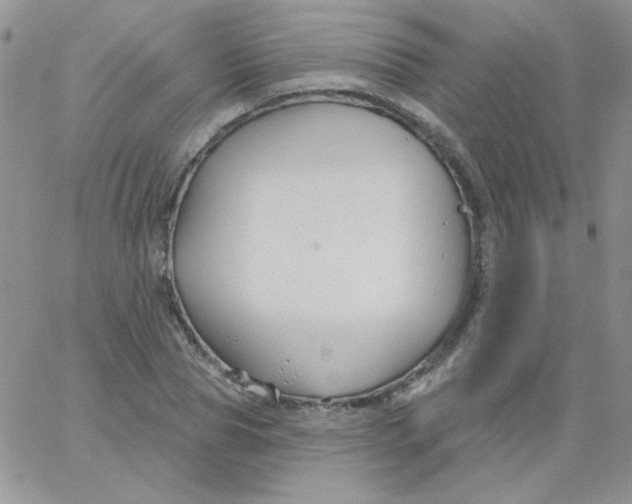 X0000062910929200602031853