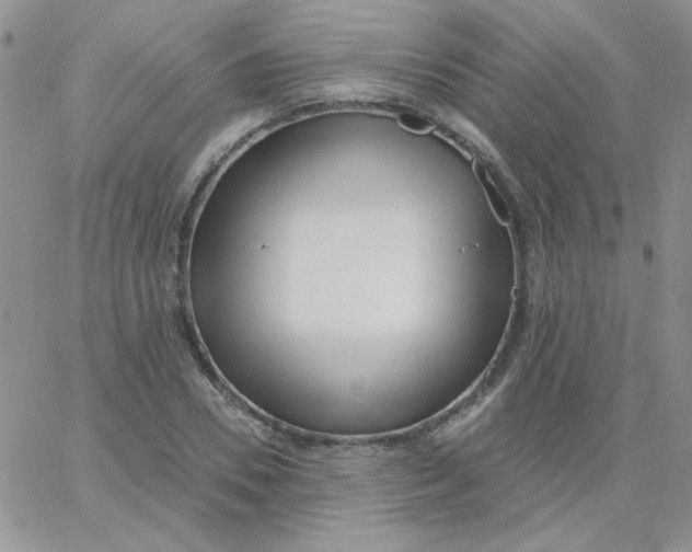 X0000062910930200602031853