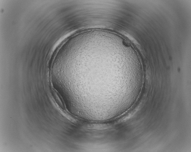 X0000062910933200602031853