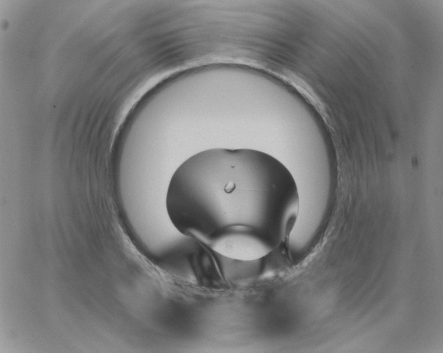 X0000062910934200602031853