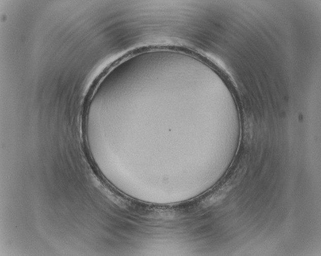 X0000062910935200602031853