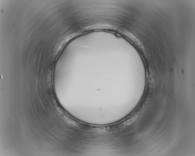 X0000062910937200602031853