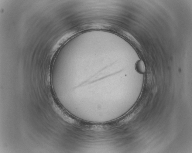 X0000062910938200602031853