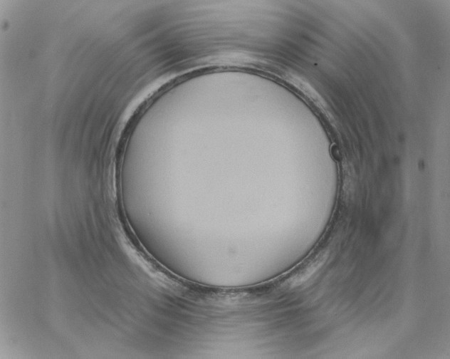 X0000062910939200602031853