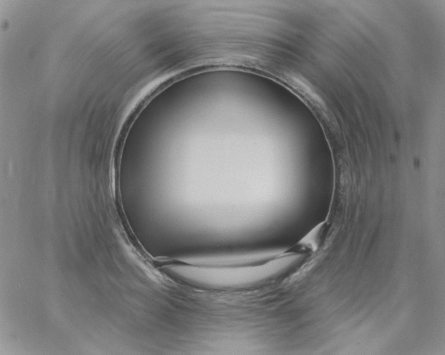 X0000062910940200602031853