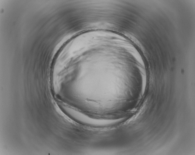 X0000062910941200602031853