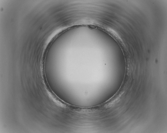 X0000062910942200602031853