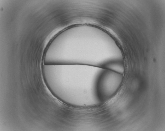 X0000062910943200602031853