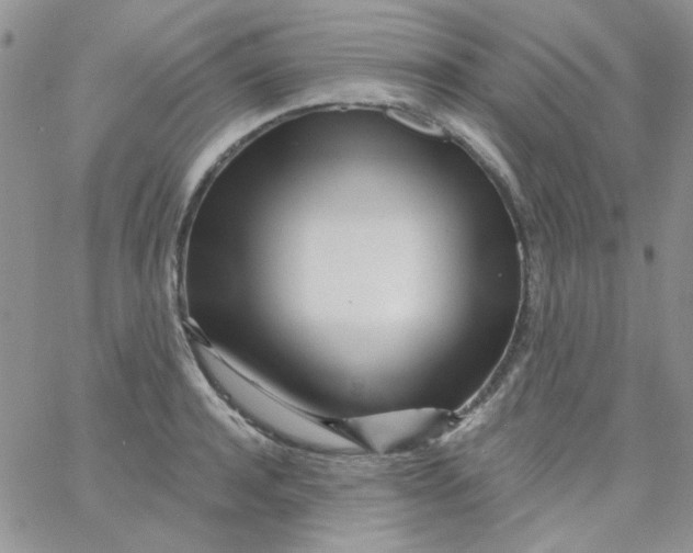 X0000062910944200602031853