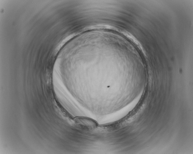 X0000062910945200602031853