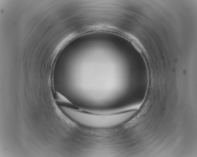 X0000062910946200602031853